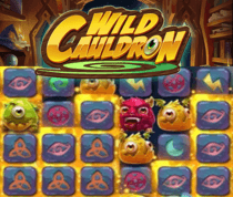 Wild Cauldron