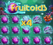 Fruitoids